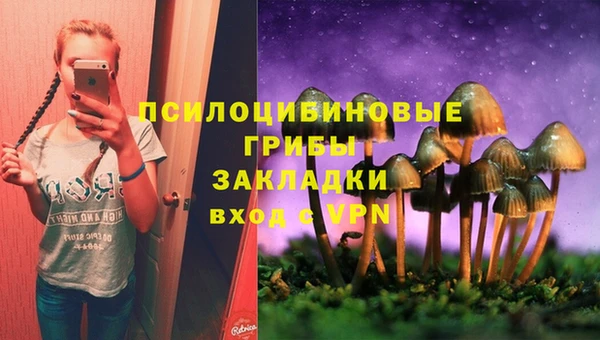 эйфоретик Белокуриха